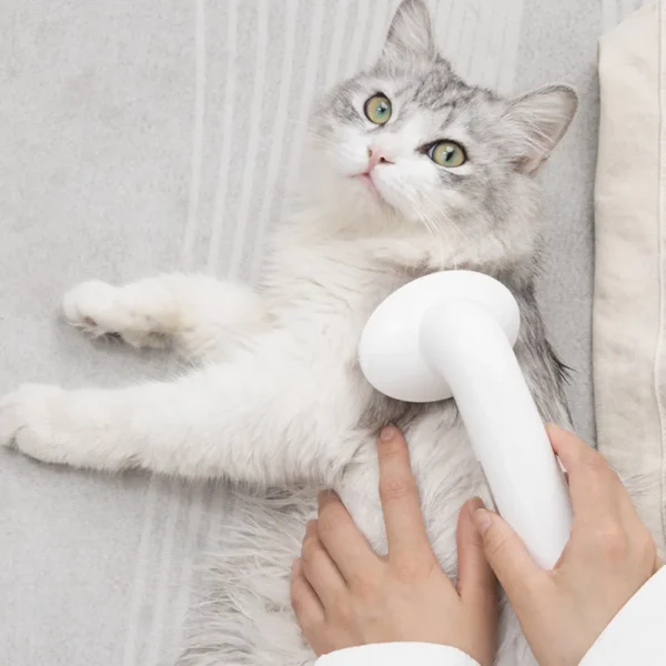 10006 Cat being massaged with silicone grooming scrubber during bath