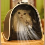 Pet cat sitting inside foldable Oxford fabric travel carrier bag