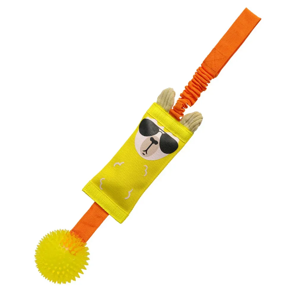 Size chart of durable Oxford TPR squeaky dog tug toy for retail display