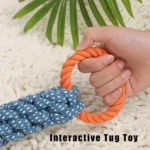 10006 Dog playing tug-of-war with double ring rope toy, ideal for interactive play in pet shops and homes