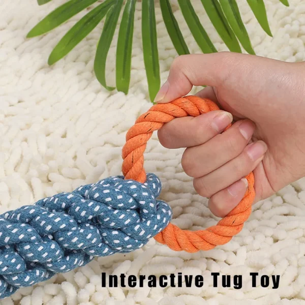 10006 Dog playing tug-of-war with double ring rope toy, ideal for interactive play in pet shops and homes