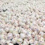 10006 Dog playing fetch with durable ETPU ball toy, ideal for interactive play indoors and outdoors