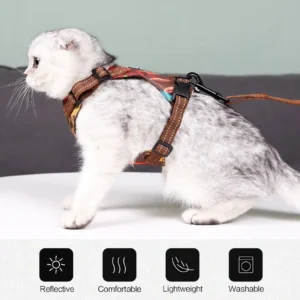 10006 Cat Collar&Leash set