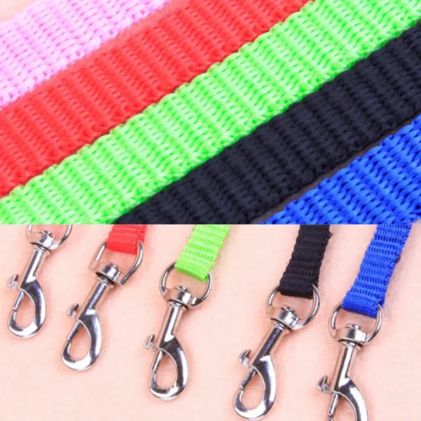 10006 Close-up of adjustable buckles and reinforced stitching on nylon H-style cat harness