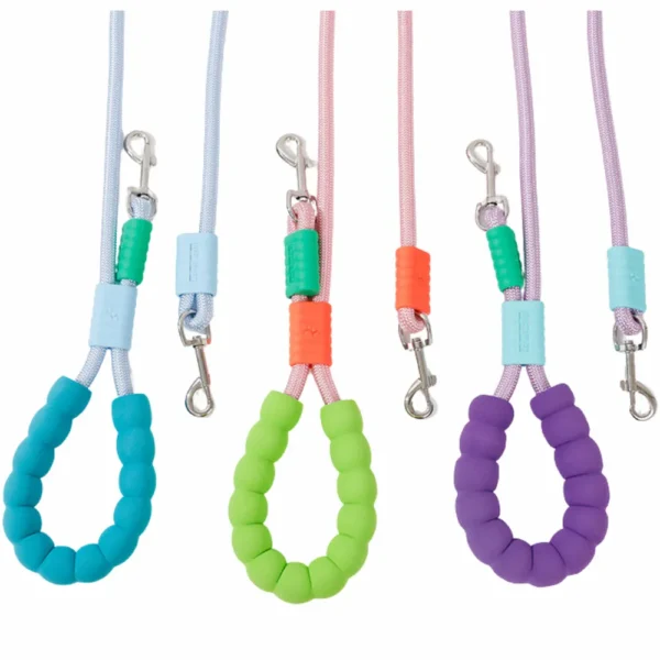 10006 Tangle-free dual dog leash in use, walking two dogs comfortably side by side