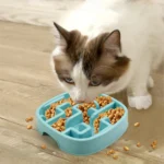 10006 Cat using easy-clean square slow feeding bowl