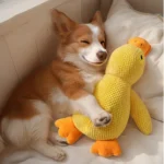 10007 Interactive Duck Plush Dog Toy with quacking sound for calming and playtime fun