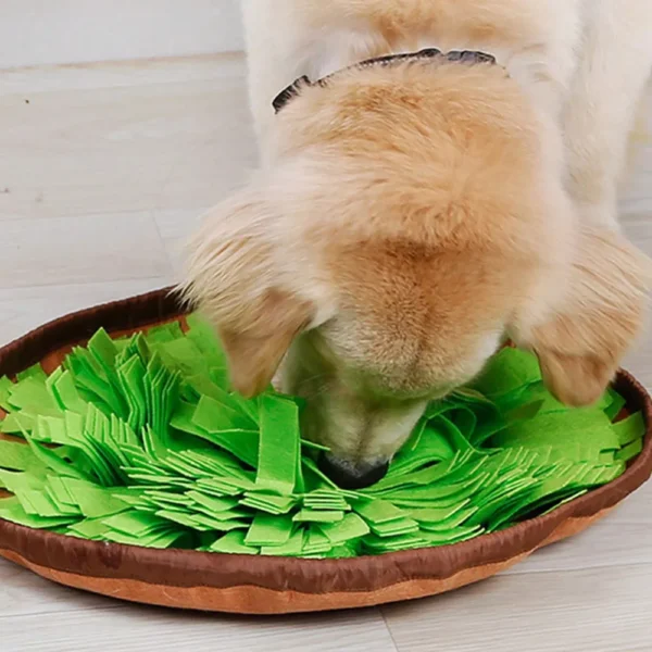 10007 Pet snuffle mat in home environment – interactive feeding toy for dogs and cats