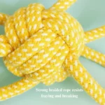 Dog playing with braided rope ball chew toy indoors interactive training