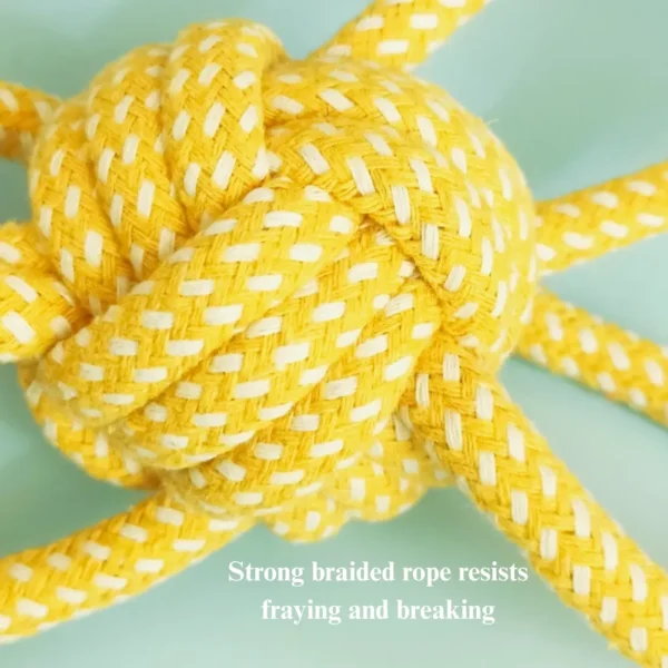 10007 Dog playing with braided rope ball chew toy indoors interactive training