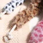 10007 Dog playing with plush rope chew toy – wholesale interactive pet supplies for retailers