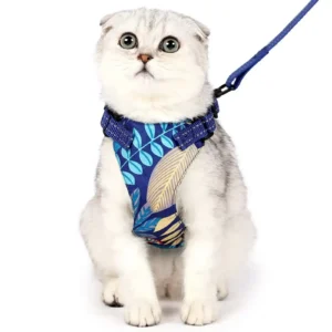 Cat leash and collar set bulk Cat leash and collar set bulk
