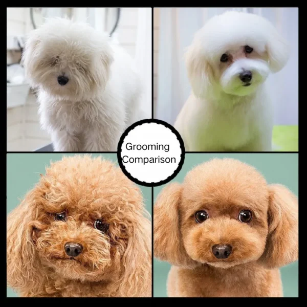 10008 Pet groomer using stainless steel grooming scissors on a dog in a grooming salon