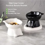 Anti-vomit tilted ceramic cat bowl showing neck protection and easy food access