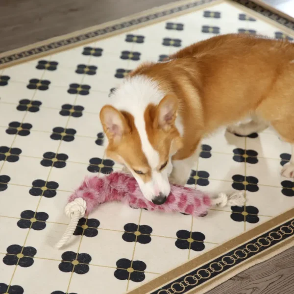 10010 Dog playing with plush rope chew toy – wholesale interactive pet supplies for retailers