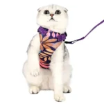 Cat Collar&Leash Cat Collar&Leash