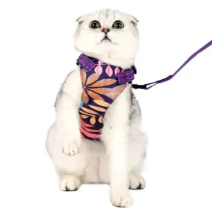 Cat Collar&Leash Cat Collar&Leash