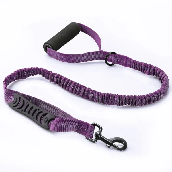 10011 Elastic reflective dog leash in purple color option