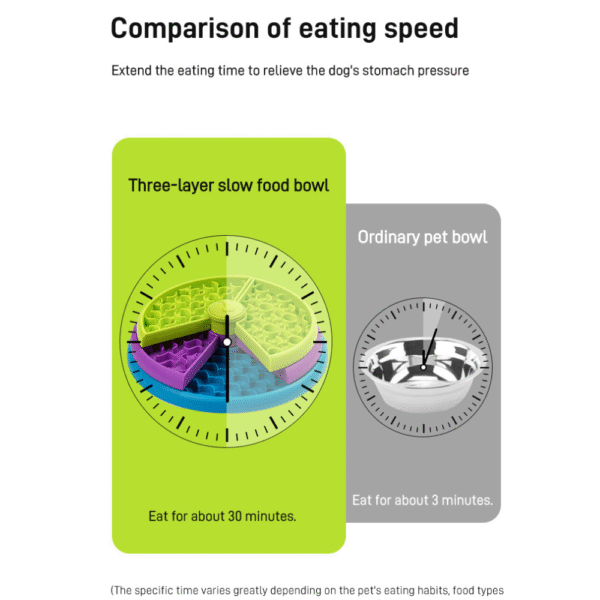 10015 Durable non-slip base of three-layer pet IQ feeder bowl