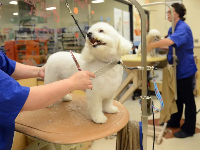 Pet groomer at PetSmart providing a haircut to a dog inside the grooming salon, showcasing professional pet care services.