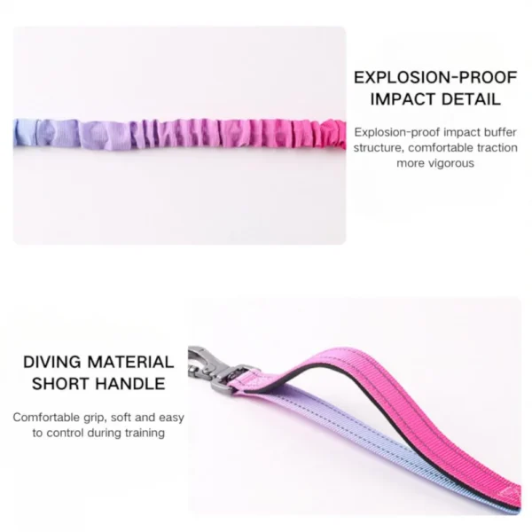 10001 Explosion-proof hands-free bungee dog leash with reflective stitching and shock-absorbing design