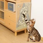 10001 Cat scratching on wholesale jute scratch pad, perfect for pet shops and retailers