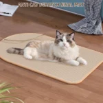Cat playing on natural sisal wall protector scratcher mat for furniture protection