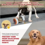 Dog playing with interactive food dispenser toy treat ball