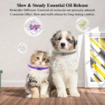 10001 Cat wearing calming collar for stress and anxiety relief, suitable for daily use