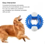Dog playing with circular nylon chew toy for dental cleaning