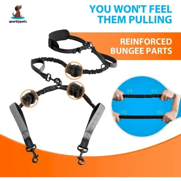 10001 Close-up of dual dog leash clips, padded waist belt, and shock-absorbing bungee rope