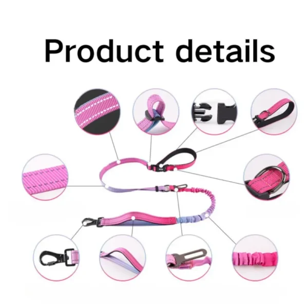 10002 Close-up of gradient color explosion-proof bungee dog leash with durable stitching and strong clips