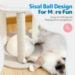 Cat playing with sisal scratching post and rope toy on small cat tree