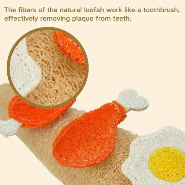 10002 Close-up of loofah texture showing durable natural fibers for cat dental cleaning and chewing.