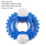 Chew toy for dogs reducing plaque and tartar while chewing