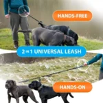 Dog owner jogging with two dogs using hands-free double dog running leash with waist belt