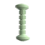 10003 Green TPR dog dental chew stick bone shape teething toy