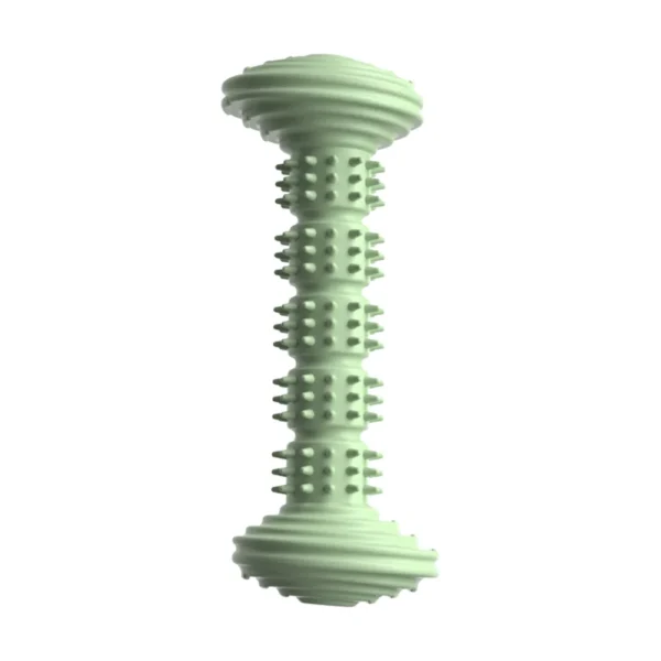 10003 Green TPR dog dental chew stick bone shape teething toy