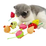 Cat playing with fruit mouse toy on the floor