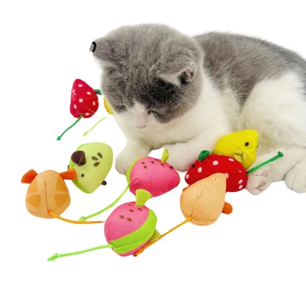 10003 Cat playing with fruit mouse toy on the floor