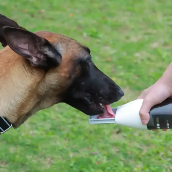 10003 Dog drinking from portable outdoor pet water bottle during walk