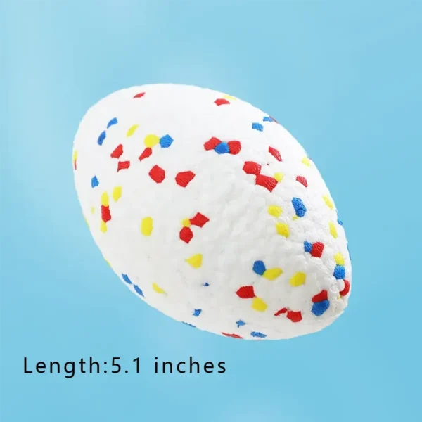 10003 Dog playing fetch with 5 inch rugby floating ball in outdoor park