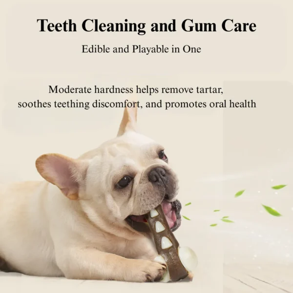 10003 Dog chew bone toy helps clean teeth, reduce plaque, and satisfy chewing needs