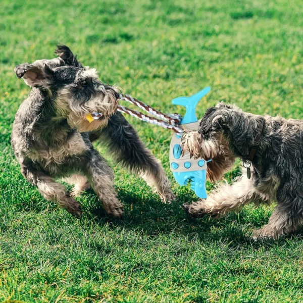 10003 Dog playing with shark chew toy with rope for interactive chewing and fetching