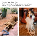 Dog playing with triangle TPR tug toy with cotton rope – interactive training toy for pets