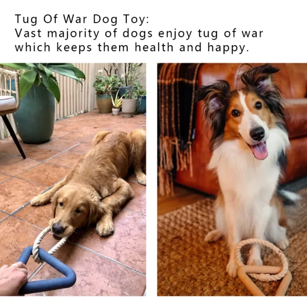 10003 Dog playing with triangle TPR tug toy with cotton rope – interactive training toy for pets