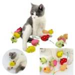 10004 Cat playing with fruit mouse toy on the floor