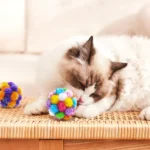 10004 Interactive playtime with multi-colored glitter cat toy balls