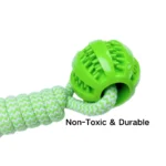 Close-up of textured TPR dog ball with teeth-cleaning grooves