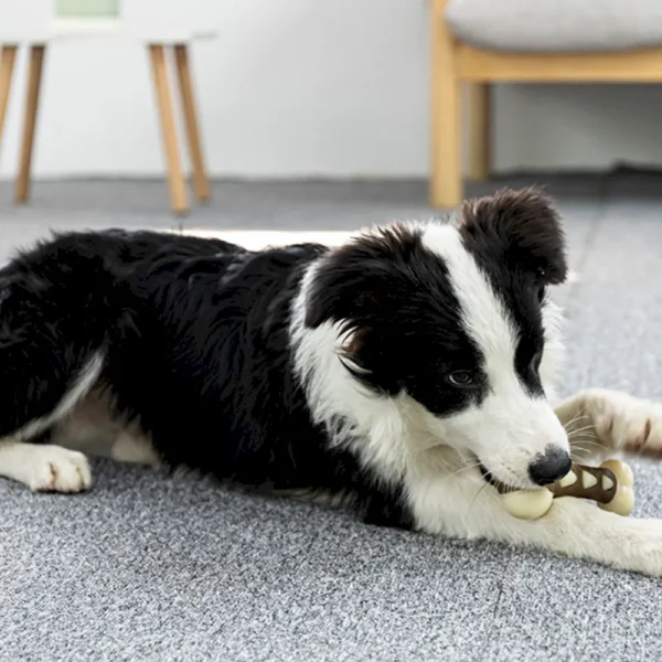 10004 Dog playing with durable chew bone toy for teeth cleaning and stress relief